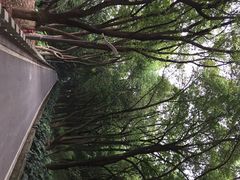 iphone_upload_pic-上海市保健医疗中心(华东疗养院)