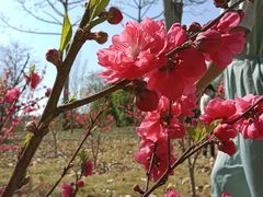 -南宁花花大世界景区
