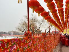 -北陵公园