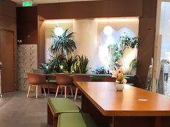 -奈雪的茶(石家庄万象城店)