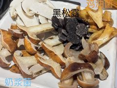 -蘑统田下·野生菌火锅