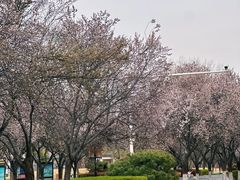 -河南省黄河迎宾馆