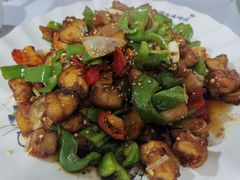 -煲来饱去冷水鱼