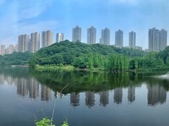 -重庆彩云湖湿地公园
