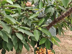 -大泽山风景名胜区