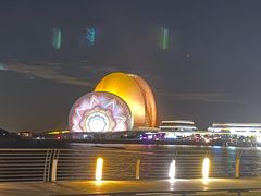 -野狸岛