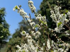 -风云岭森林公园