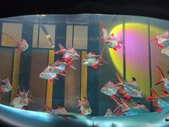 -碧涛阁水世界酒店·洗浴·自助(万家丽路店)