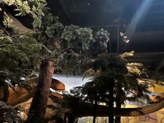 -浙江自然博物院(杭州馆)
