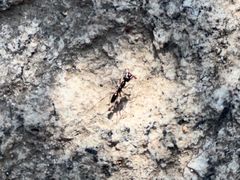 -天津盘山风景名胜区