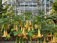 -国家植物园南园