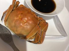 -万龙洲海鲜(南新仓店)