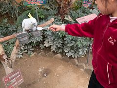 -南宫五洲植物乐园