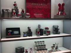 -ROSEONLY诺誓(广州K11店)