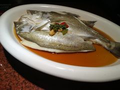 -绿茶餐厅(华联万柳店)