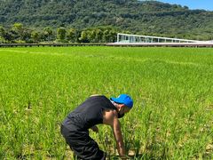 -艾米稻香小镇