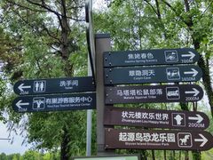 -合肥滨湖国家森林公园