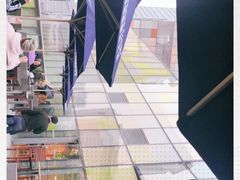 -新元素(三里屯太古里南区)