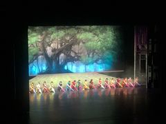 -顺德演艺中心大剧院