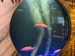 -莉莉海堂HAITANG·烤鸭(国贸商城店)