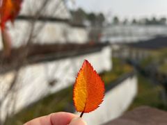 -刘伯温故里景区百丈漈