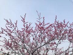 -重庆彩云湖湿地公园