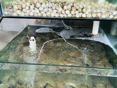 -海岸风情蒸汽海鲜自助餐厅(家宴金手勺店)