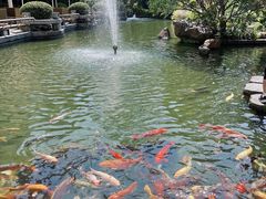 -广州花园酒店