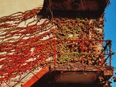 -半岛1919创意园区