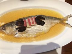 陈年花雕蒸鲥鱼-福1088