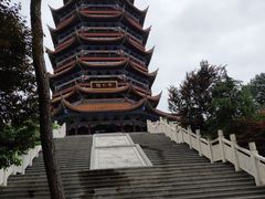 -铁山坪森林公园