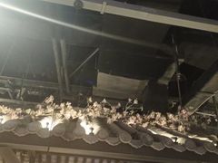 -绿茶餐厅(昆明世纪金源店)