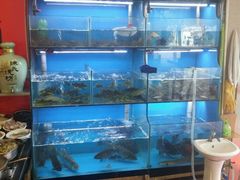 水产区-老村长土菜馆(湖墅南路店)