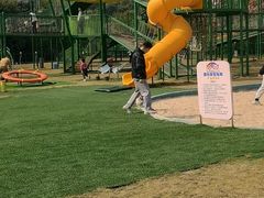 -大屏嶂森林公园