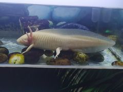 -梦幻海洋王国(吾悦广场张家港店)