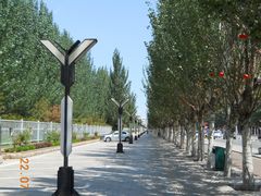 门面-阿尔丁植物园