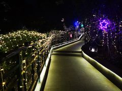-宝莱纳啤酒花园餐厅PAULANER BRAUHAUS Nanjing(广州路店)