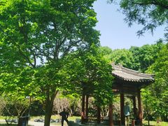 -月坛公园