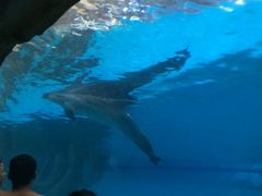 -波塞冬旅游度假区