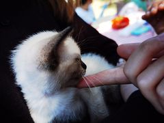 -龙寺生态园