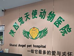 -天使宠物医院·犬猫分诊(彩虹店)