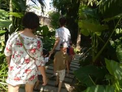 -三亚湾红树林度假世界(木棉酒店)