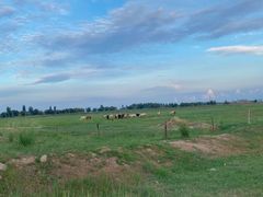 -敕勒川草原文化旅游区