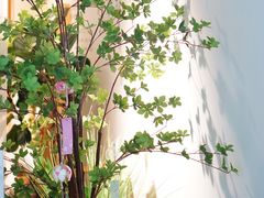 -左悦·艾灸调理·推拿按摩·精油SPA(卓悦汇店)