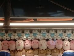 -海合安青岛极地海洋公园