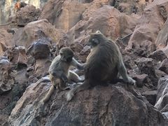 -昆明动物园