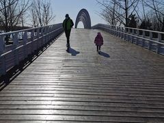 -大兴滨河森林公园