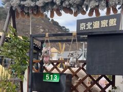 -京北渔家傲