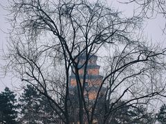 -大慈恩寺(大雁塔)