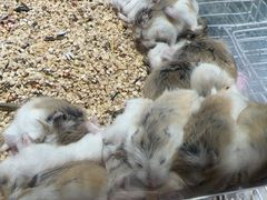 -丽达购物中心(崂山店)